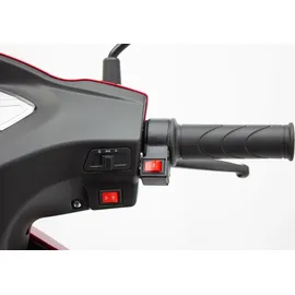 Efun ECO ENGEL 500 Elektromobil 15 km/h rot