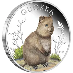 Australien 2024: Farbveredelte Silbermünze "Quokka" - PP