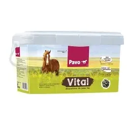 PAVO Mineralfutter Vital 20 kg