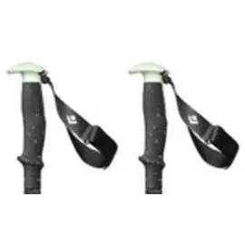 Black Diamond Expedition 3 Ski Poles desert sage