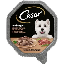 Cesar Landküche Mini Filets in Sauce mit Pute & Rind 56 x 150 g