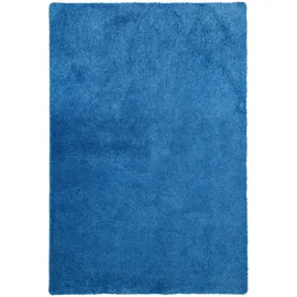 Snapstyle Hochflor Shaggy Teppich Blau 200x300cm
