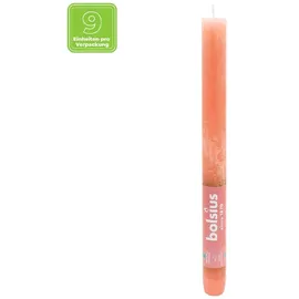 Bolsius Rustik Stabkerzen 27 cm orange 9 St.