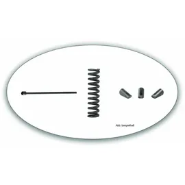 Gesipa Sicherungsring