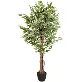 bümö Kunstpflanzen, Kunstpflanze Birkenfeige Ficus (165 cm)