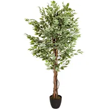 bümö Kunstpflanzen, Kunstpflanze Birkenfeige Ficus (165 cm)