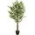 bümö Kunstpflanzen, Kunstpflanze Birkenfeige Ficus (165 cm)
