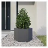 vidaXL Pflanzkübel Anthrazit Sechseckig 69x60x45 Stahl