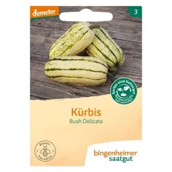 Bingenheimer Saatgut Kürbis Bush Delicata