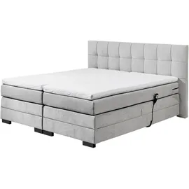 ed exciting design Talena 202 x 211 cm Grau