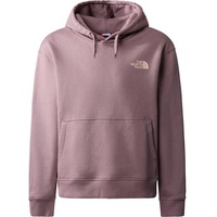 The North Face Vertical Line Kapuzenpullover Fawn Grey 170