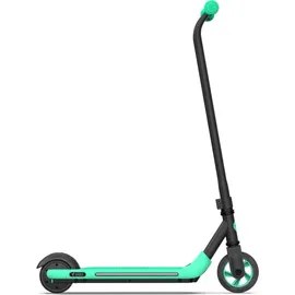 Segway-Ninebot Zing A6 schwarz/grün