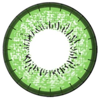 Matlens – EOS Farbige Kontaktlinsen mit Stärke circle lenses grün green J-203 2 Linsen 1 Kontaktlinsenbehälter 1 Pflegemittel 50ml -475