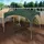 Woltu Faltpavillon 3 x 3 m Grün