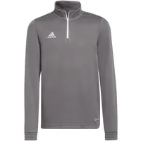 Adidas Entrada 22 Training Oberteil grau