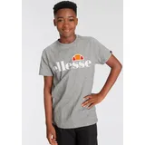 Ellesse T-Shirt (S3E08578)