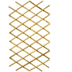 vidaXL Nature Garten-Rankgitter : Größe - 100 x 200 cm