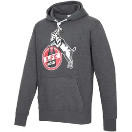 1. FC Köln Hoodie Grau 5XL