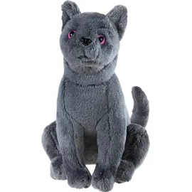 HEUNEC SDMT Kater Karajan GRS klein