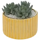 Atmosphera Créateur d'intérieur Kunstpflanze in gelb | Gr.: onesize