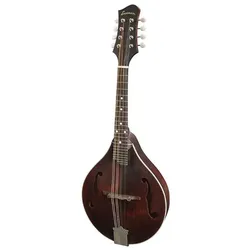 Eastman MD305 - Bluegrass Mandoline