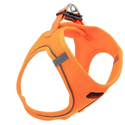 Tailpetz Air-Mesh Hundegeschirr