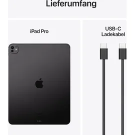 Apple iPad Pro 13" (7. Generation 2024) 256 GB Wi-Fi space schwarz