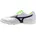Morelia TF 42