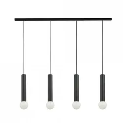Licht-Erlebnisse Schwarze Hängelampe BIDINA aus Metall 4-flammig Modern Design länglich elegante Pendelleuchte Wohnzimmer Esstisch, NO1/4/1000