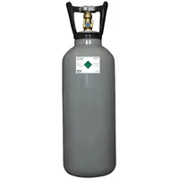 BieTal Kohlensäureflasche 6 kg grau