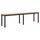 vidaXL Sitzbank Natur Beige 160 x 35 x 45 cm