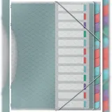 Esselte Ordnungsmappe mit 12 Fächer