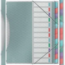 Esselte Ordnungsmappe mit 12 Fächer