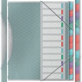 Esselte Ordnungsmappe mit 12 Fächer