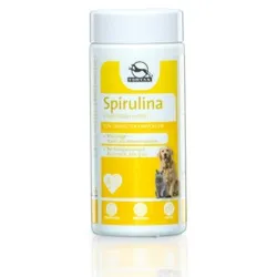 Fortan Spirulina Pulver mit Mikroalge 90 g