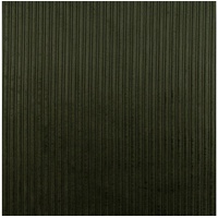 SCHÖNER LEBEN. Stoff Cord Baumwolle Bekleidungsstoff Dekostoff Doppelrille grün 1,45m br grün
