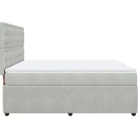 vidaXL Boxspringbett mit Matratze Hellgrau 180x200 cm Samt