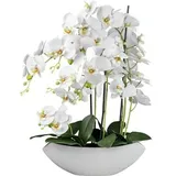 creativ-green Kunstblume Orchidee, Phalaenopsis, weiß, in Keramik-Schale, Höhe 63 cm