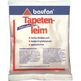 Baufan Kleister 200 g transparent