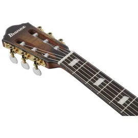 IBANEZ FRH20SMN-TCL Elektro-Akustik-Gitarre, tobacco burst low gloss