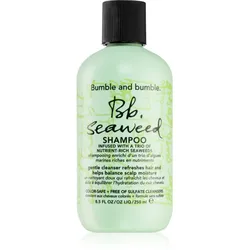 Bumble and bumble Seaweed Shampoo Shampoo für welliges Haar mit Auszügen aus Meeresalgen 250 ml