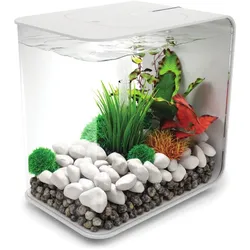 biOrb Deko Aquarium FLOW 15 mit LED - 15 Liter- schwarz