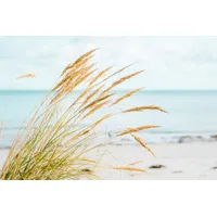 A.S. Création Fototapete Sand Dunes 3,75 m x 2,50 m - WALLLOVE Strandtapete in Beige, Blau inkl. Kleister - DD129607