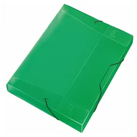 Veloflex Heftbox A4 transparent/grün