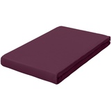 schlafgut Pure Baumwolle 140 x 200 - 160 x 220 cm purple deep