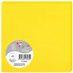 Pollen 250x Karte Pollen 135x135mm 210g - Sonne 1823C