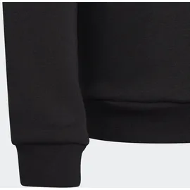 adidas Entrada 22 Sweatshirt Black 116