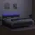 vidaXL Boxspringbett mit Matratze & LED Dunkelgrau 180x200 cm Stoff