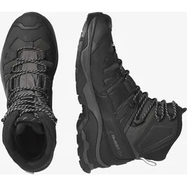 Salomon Quest 4 GTX Herren Magnet/Black/Quarry 42 2/3