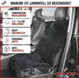 Walser 20011